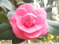 -深圳国际园林花卉博览园