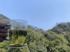 -阿巧茶庄