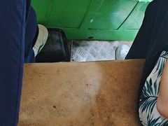 -西双版纳原始森林公园