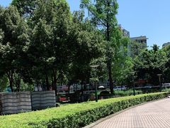 -神仙树公园