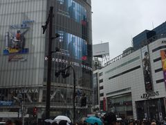 -涩谷区