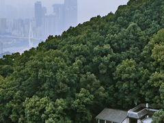 -南山植物园