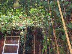 -凤翔饭庄·洱海畔的味道