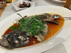 -棕榈泉国际高尔夫学院