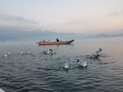 -丽江泸沽湖景区