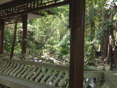 -深圳仙湖植物园