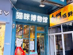 -猫咪博物馆(顶澳仔猫街店)
