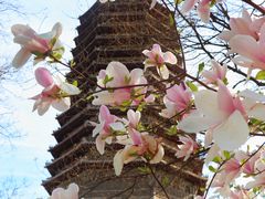 -玲珑塔公园