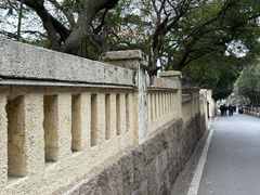 -八大关景区