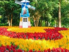 -共青国家森林公园-售票处