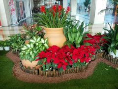 -杭州文化广播电视集团