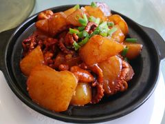 八爪鱼炖萝卜-金种子大酒店