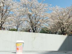 -上海辰山植物园