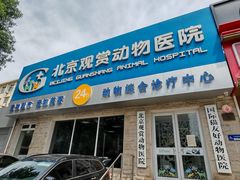 -北京观赏动物医院·24小时大型综合·猫专科·异宠专科