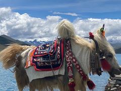 -青海湖国家重点风景名胜区