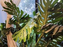 -太守宴·蘭院(天塔店)