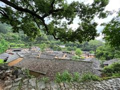 -杨家堂村