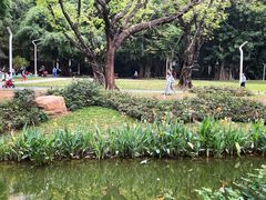 -人民公园(罗湖区)
