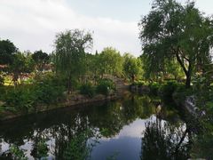 -上海财经大学(国定路校区)