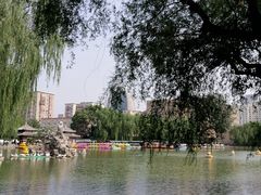 -团结湖公园