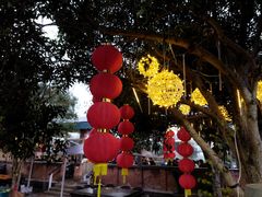 -听风阁农家私房菜茶楼(龙坞店)