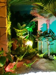 -恐龙探索乐园(磁器口店)