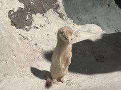 -浙江自然博物院(杭州馆)