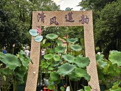 -广达眼镜炖罐(广达店)