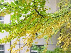 -山东师范大学(千佛山校区)
