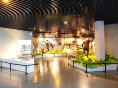 -北京周口店北京人遗址博物馆