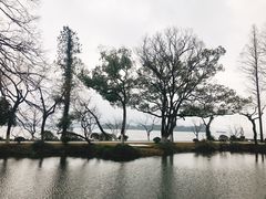 -浙江西子宾馆·瑶园咖啡厅