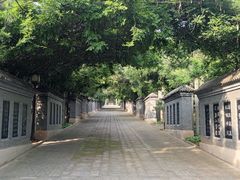 -蟒山国家森林公园-停车场