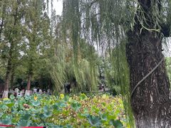-包公祠