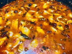 肥肠黑鱼-手拉手美食(清河路店)