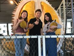 -都念榴莲·城市榴莲