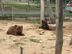 -秦皇岛野生动物园