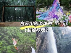 -洛阳白云山景区