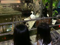 -优之名鹅城