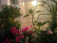 -雅苑中餐厅