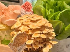 -烹然四季椰子鸡火锅(姚家园万象汇店)