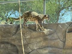 -青藏高原野生动物园