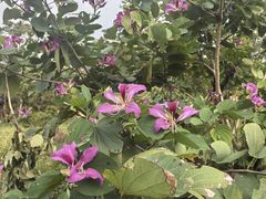 -白沙门生态公园