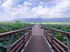 -长田漾湿地公园