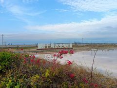 -莺歌海盐场