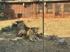 -昆明动物园