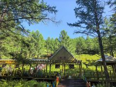 -莫尔道嘎国家森林公园