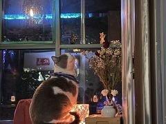-后院儿·精酿·塔罗Happy Bar