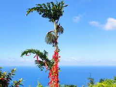 -海南铜鼓岭景区
