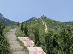 -富平县金粟山森林公园