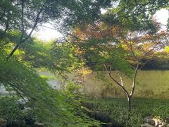 -杭州植物园
